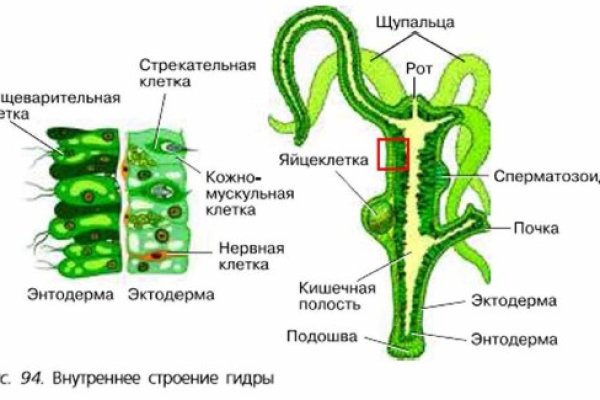 Магазин кракен в москве наркотики