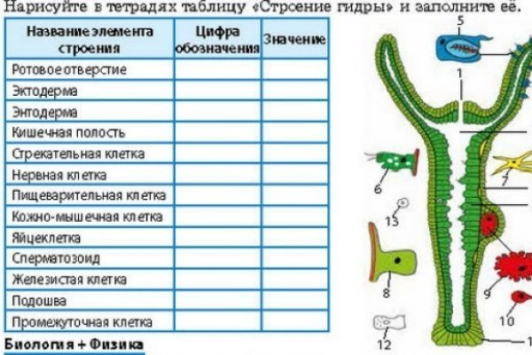 Кракен даркнет текст