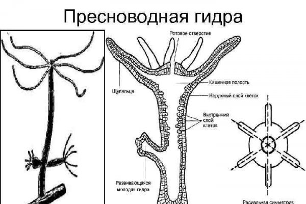 Кракен маркет это