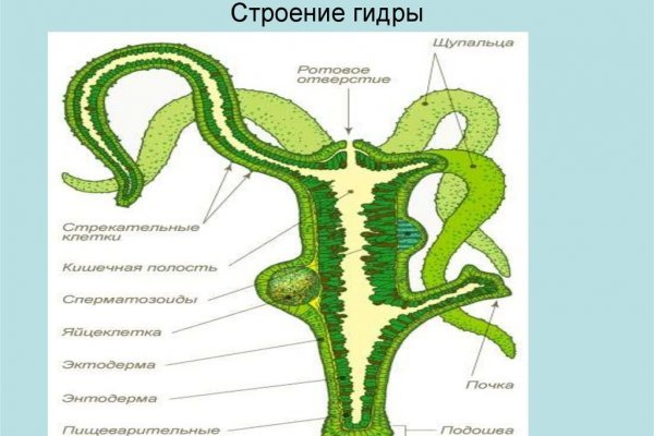 Кракен мефедрон